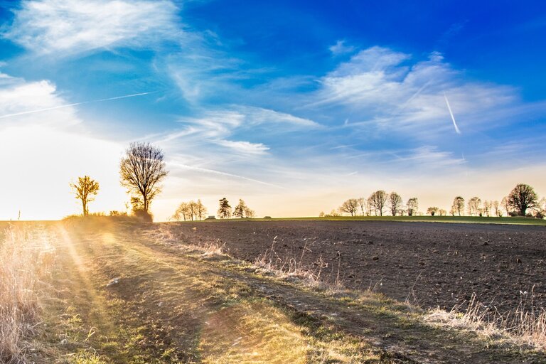 Podzimní sborový dopis